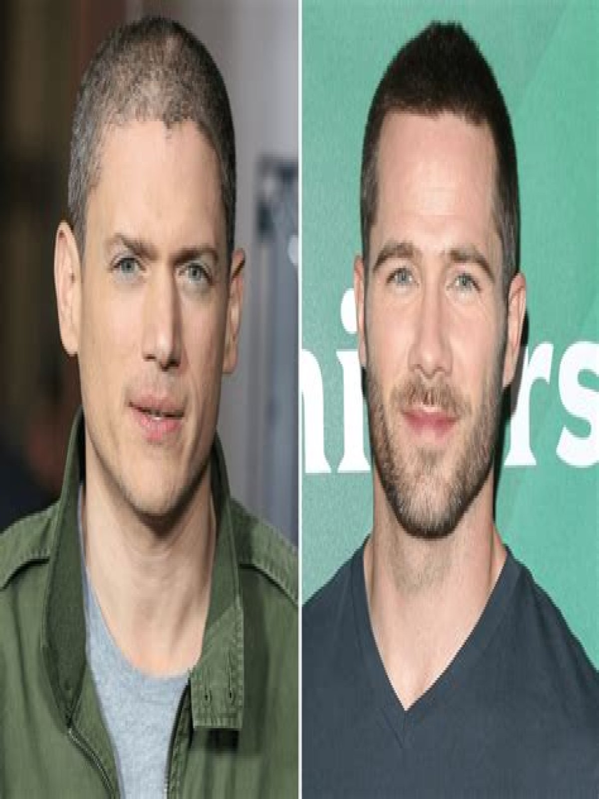 Exploring The Wentworth Miller Couple: Love, Life, And Legacy