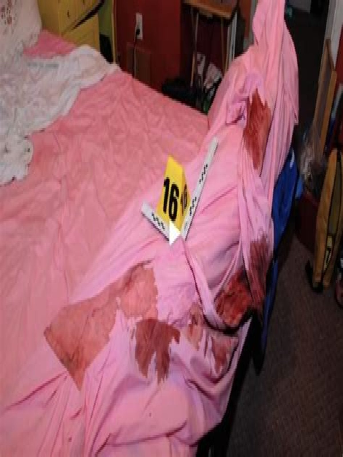 Gypsy Rose Mom Crime Scene Photos: Unraveling The Controversial Case