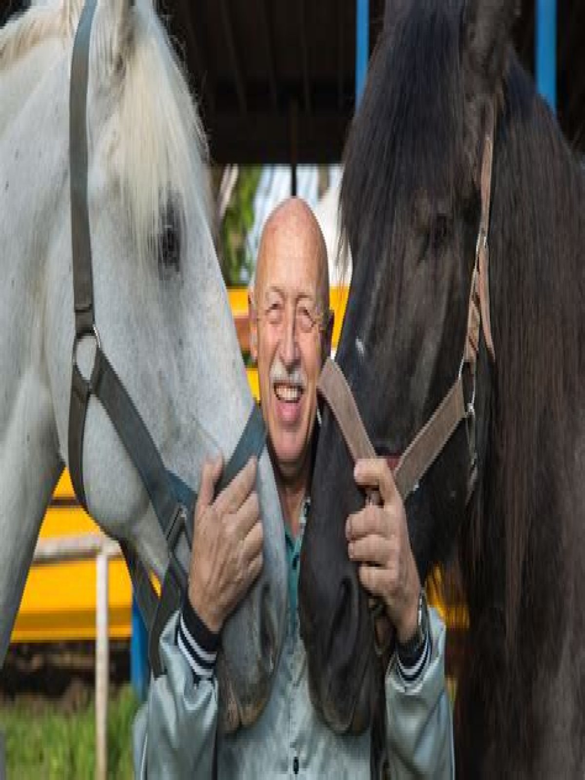 Is Doctor Pol Still Alive? The Life And Legacy Of A Beloved Veterinarian