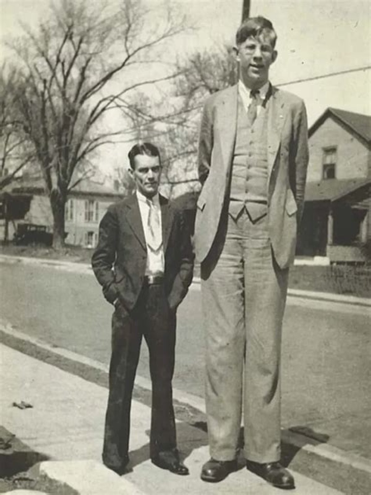 Understanding John Rogan's Height: The Impact On His Career And Public Image