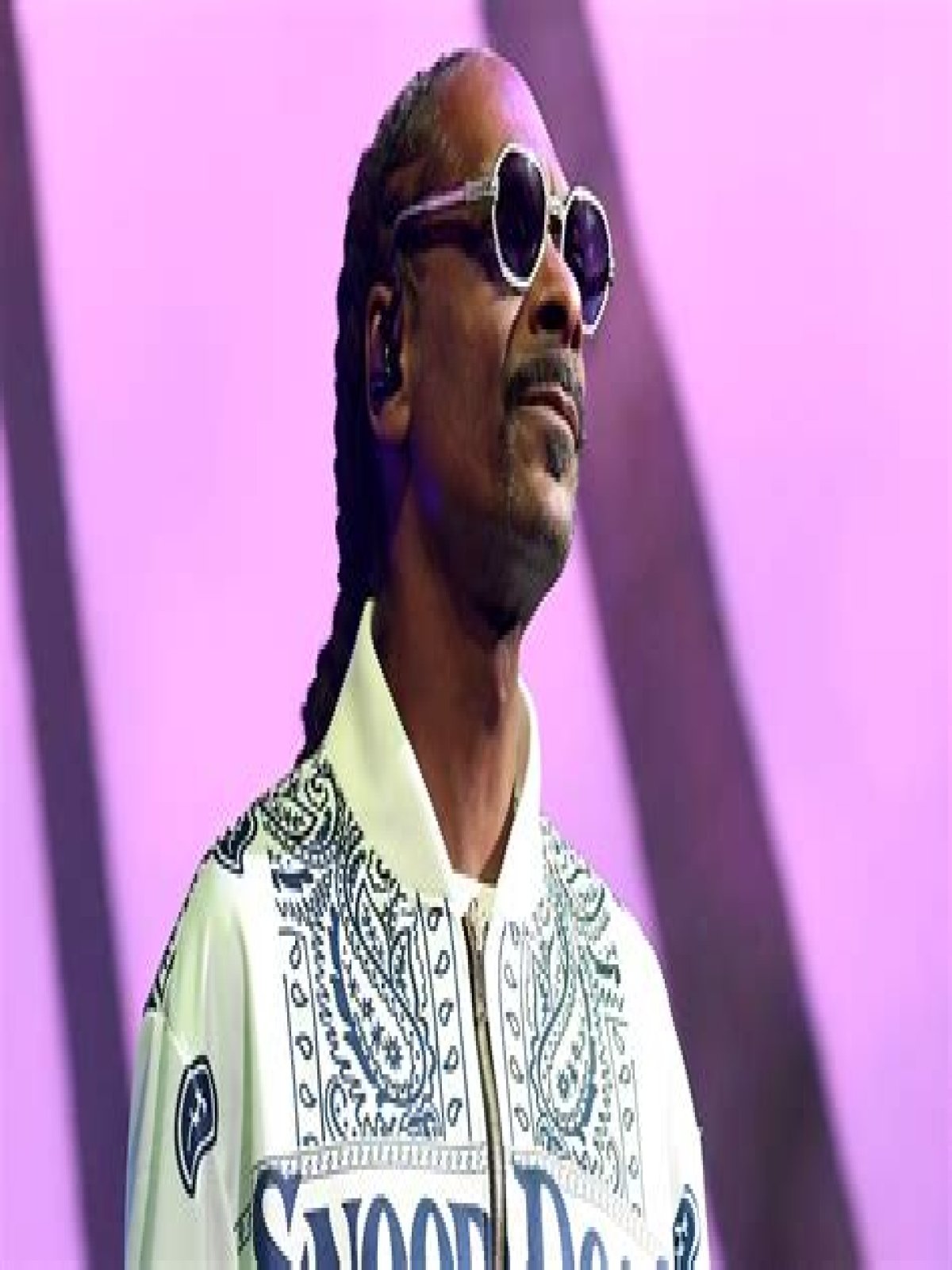 Unraveling The Truth: Does Snoop Dogg Have A Felony?
