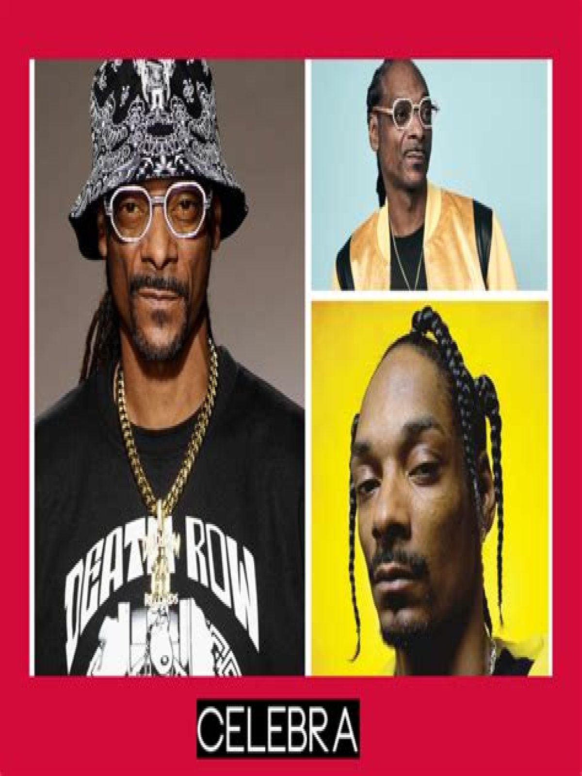 Unveiling The Truth: Is Snoop Dogg A Felon?